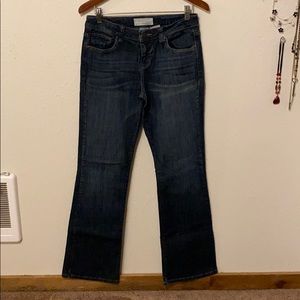 Maurices 5/6 Long Taylor Boot Jeans